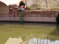 -艾溪湖湿地公园