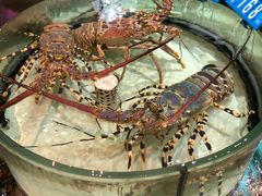 -强记海鲜·大排档(蛇口新街店)