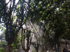 -武汉紫薇都市田园