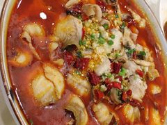 -大鸿运酒店·苏州菜·松鼠桂鱼(观前街店)