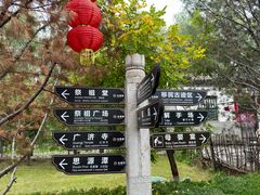 -大槐树寻根祭祖园