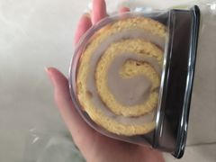 -泉州海丝野生动物世界