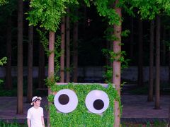 -南京金牛湖风景区