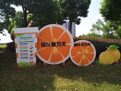 -南翔镇银翔湖公园
