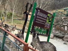 -栾川竹海野生动物园