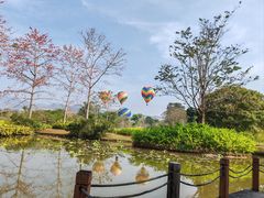 -中国科学院西双版纳热带植物园