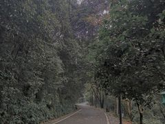 -岳麓山风景名胜区