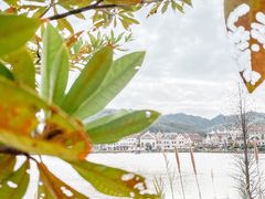 -美的鹭湖森林度假区