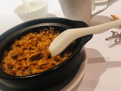 -新同乐鱼翅酒家(美丽华店)