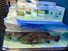 -盒马X会员店(上海森兰商都店)