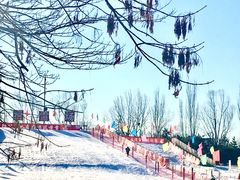 -北京亚布洛尼朝阳公园滑雪场