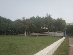 -北京国家会计学院
