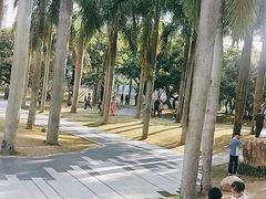 -四海公园(南山区)