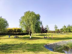 -两河城市森林公园