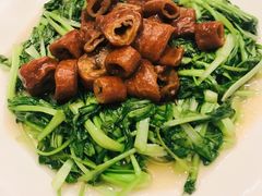 -碧丽宫大酒店(召稼楼店)