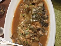 -福来齐·鲁菜海鲜·渔家菜(朝阳街分店)