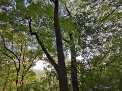 -狼山风景名胜区