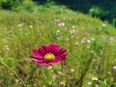 -铜锣山矿山公园