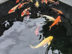 -西安市广仁寺