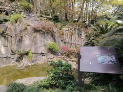 -南山植物园