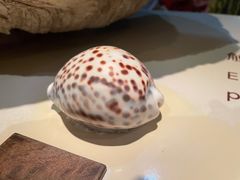 -上海和睦家医院泉口门诊部