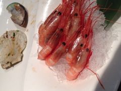 iphone_upload_pic-大渔之观(安贞店)