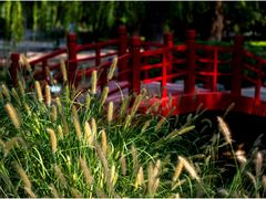 -玲珑塔公园