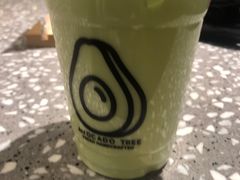 -油梨树AVOCADO TREE(嘉里中心店)