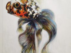 -金泽21世纪美术馆