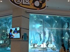 -帝企鹅自助餐厅•儿童岛•真企鹅(长隆企鹅酒店)