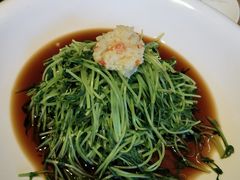 热炝豌豆苗-芳芳私房菜·精做淮扬菜(承德路店)