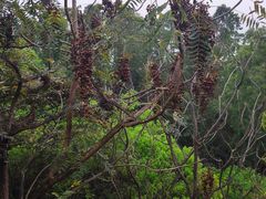 -水濂山森林公园