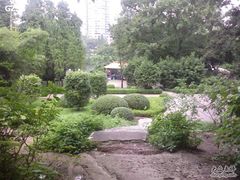 -晓港公园