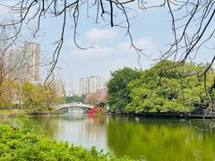 -东山湖公园