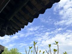 -粤晖园