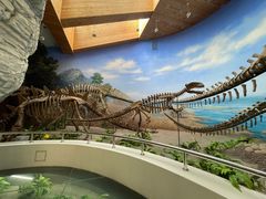 -延庆地质公园博物馆