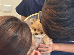 -美迦爱-牙专科·兔科·骨科诊疗中心(北苑店)