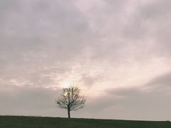 -钟山体育运动公园