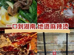 -张十三·益阳麻辣烫(深圳景田店)