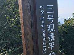 -杨梅坑