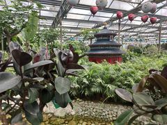 -南宫五洲植物乐园