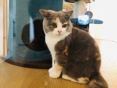 -Me Coffee下午茶艺术空间