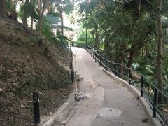 -香港大学