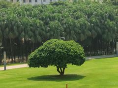 -红花山公园