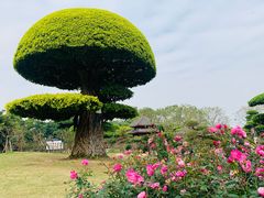 -南宁南湖公园