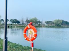 -洋湖国家湿地公园