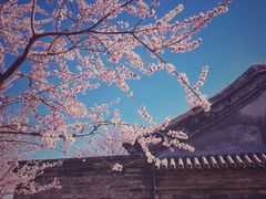 -三里河公园