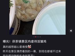 -茯茶镇