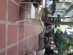 星巴克(沙面店)-星巴克臻选(广州沙面店)