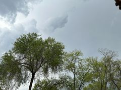 -宝大祥青少年儿童购物中心(南京东路店)